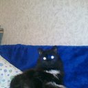 ���� Aleks, ������ - ��������� 24 ����� 2010 � ������ �������