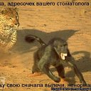 ���� ���������, ����������, 48 ��� - ��������� 3 ������� 2010 � ������ ���������