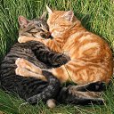 ���� ����, �������� - ��������� 3 ��� 2010 � ������ ��������� ��������