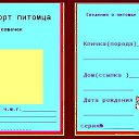  "",  -  2  2011    .
