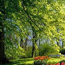 ���� Black And, ������, 45 ��� - ��������� 20 ������� 2010 � ������ �������