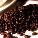 ���� ����, ���������, 34 ���� - ��������� 25 �������� 2011 � ������ �Like^_^�