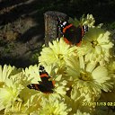 ���� ������, ����� - ��������� 16 ������ 2013 � ������ �������
