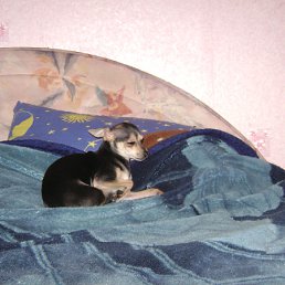 ���� ������, �����������, 52 ���� - ��������� 28 ������ 2012