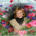 ���� �����, ��������� - ��������� 2 ��� 2013 � ������ ������ ��������
