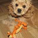 ���� �������, ������ - ��������� 28 ����� 2010 � ������ ����������