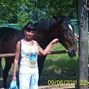  ,  , 49  -  13  2013    