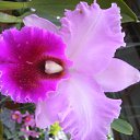 ���� ������, ����������, 55 ��� - ��������� 7 ���� 2011 � ������ �������