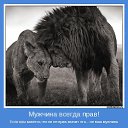 ���� �����, �����-���������, 57 ��� - ��������� 18 ������� 2012 � ������ ���� ����������