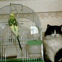 ���� ����, ����, 60 ��� - ��������� 26 ������� 2010 � ������ ���� ����������