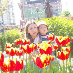 �����, ���������, 43 ����