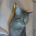 ���� �������, ������� - ��������� 24 �������� 2011 � ������ ���� �������