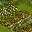  , -, 54  -  15  2013   Tropikania