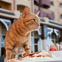 ���� Markus, �������, 58 ��� - ��������� 24 ���� 2012 � ������ ������ � ������ ������� �������