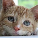   ( - !), , 59  -  13  2013     