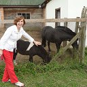 ���� ����, �����, 55 ��� - ��������� 22 ������� 2012 � ������ ���� ����������