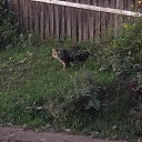  ,  -  22  2012   * ..*