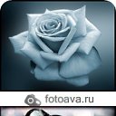 ���� �����, ��������, 35 ��� - ��������� 6 ������ 2010