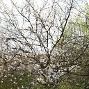 ���� ���� ����, ����������, 50 ��� - ��������� 19 ����� 2010 � ������ ��������� ������!�