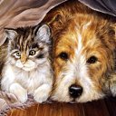 ���� ����� - ���������� ��������!!!, �����������, 56 ��� - ��������� 14 ������� 2009 � ������ ���������� �������Ż