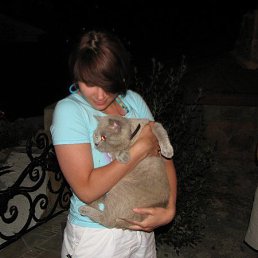 �����, �����, 41 ���