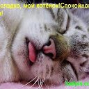 ���� ��� ����� :D, ����� - ��������� 31 ����� 2013 � ������ ������ ��������