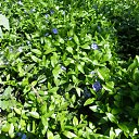 ���� Empire, ������-��-���� - ��������� 4 ��� 2010 � ������ ����