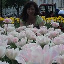  ,  , 44  -  19  2011    