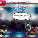 ���� �����....�����..., ������, 36 ��� - ��������� 11 ������ 2010 � ������ �PetLove�