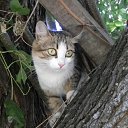 ������ �� ������� �������