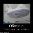  , , 50  -  24  2011   ))))))