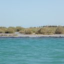 ���� � ������� �� ������� ������ ������� ����, ������� - ��������� 23 ������ 2011 � ������ �������-2�