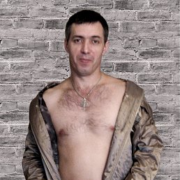 ���� �������, ������, 52 ���� - ��������� 8 ��� 2010