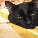 ���� ����� ;), ��������, 51 ��� - ��������� 16 ������ 2011 � ������ ���� ����������