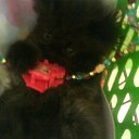  E.lena, , 62  -  13  2010    