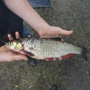 ���� �������, ���, 67 ��� - ��������� 31 ���� 2013 � ������ ������ �� ���� ��