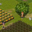 ���� ����, ������, 48 ��� - ��������� 30 ������� 2012 � ������ �Tropikania�