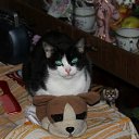 ���� �������, ��������, 47 ��� - ��������� 23 �������� 2011