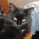 ���� Ը���, ������, 71 ��� - ��������� 15 ������� 2012 � ������ �������