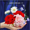 ���� �����, ������ - ��������� 21 ��� 2013 � ������ ���������