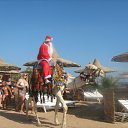 ���� Wer, ������, 57 ��� - ��������� 14 ������� 2010 � ������ ���������