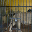 ���� ����, �����-���������, 34 ���� - ��������� 27 ���� 2011 � ������ ��������