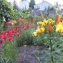 ���� ������, ������, 57 ��� - ��������� 1 ���� 2013 � ������ �������