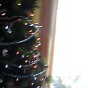 ���� ��������, ���������, 65 ��� - ��������� 14 ������� 2013 � ������ ���� ����������