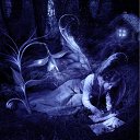 ���� �����, ����� - ��������� 24 ������ 2010 � ������ ������������ �� ����� �������