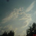 ���� ����, ������, 37 ��� - ��������� 22 ������ 2009 � ������ ��������