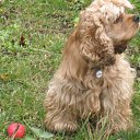 ���� Sofia, ����, 50 ��� - ��������� 10 ������ 2011 � ������ ���� ����������