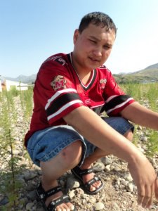 ���� ����������, ��������, 38 ���