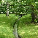 ���� ����, �����-���������, 52 ���� - ��������� 20 ������ 2010 � ������ ���� ����������