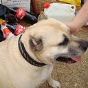 ���� ������, ����� - ��������� 19 ������ 2012 � ������ ���� ����������